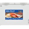 Tủ đông Hòa Phát-HPF-AD6352